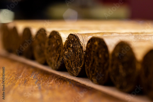 Quadro em tela cigar tip close up