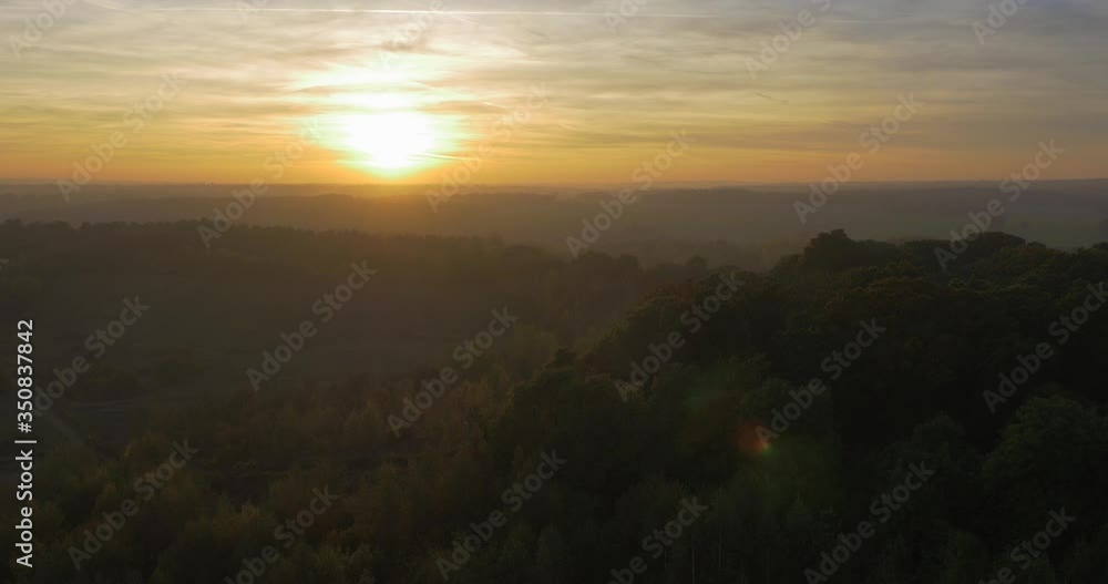 Dense woodland lit by colourful sunset in English countryside Dense woodland lit by colourful sunset in English countryside