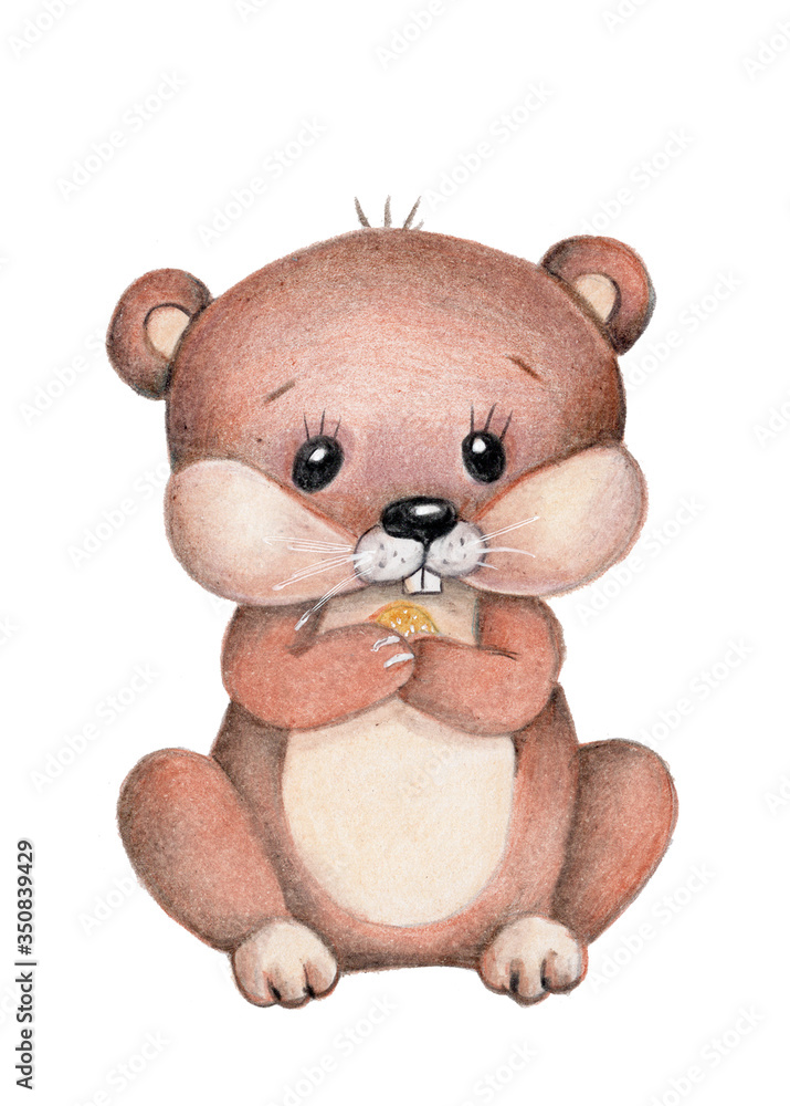Fototapeta premium Watercolor illustration of cute cartoon marmot, isolated on white.