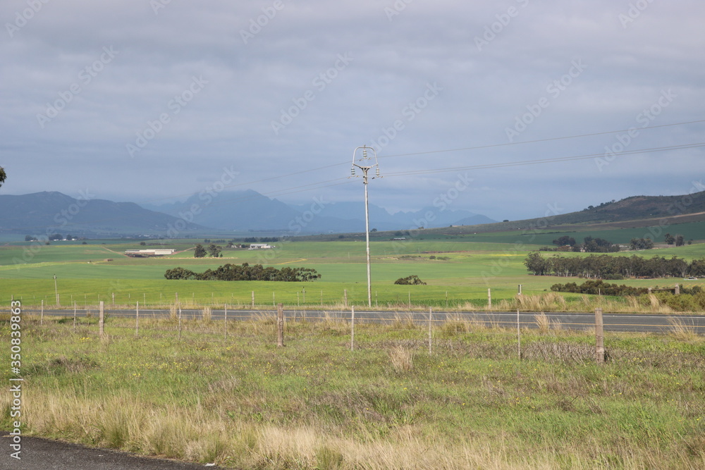 Fototapeta premium Western Cape landscape