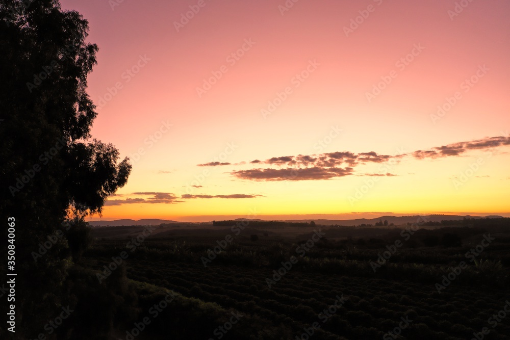 Obraz premium Panoramic view of sunset agriculture field with the beauty skyline. Rural life scene. 