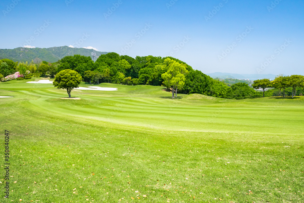 Fototapeta premium Golf Course with beautiful green field. Golf course with a rich green turf beautiful scenery.