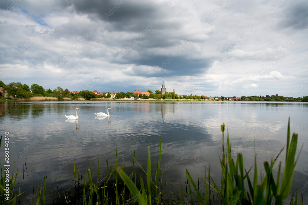 Seehausen in der Börde - See mit Schwänen unter bewöltem Himmel, Panorama und Skyline der Stadt in Sachsen-Anhalt
