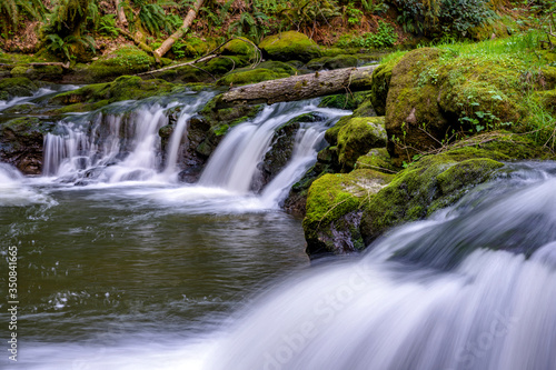 Mountain river with rapids on stones covered with moss and fallen trees in a wild forest © vit