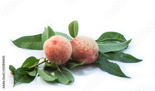 Peaches isolated. Some homegrown fruits on a branch with leaves.
