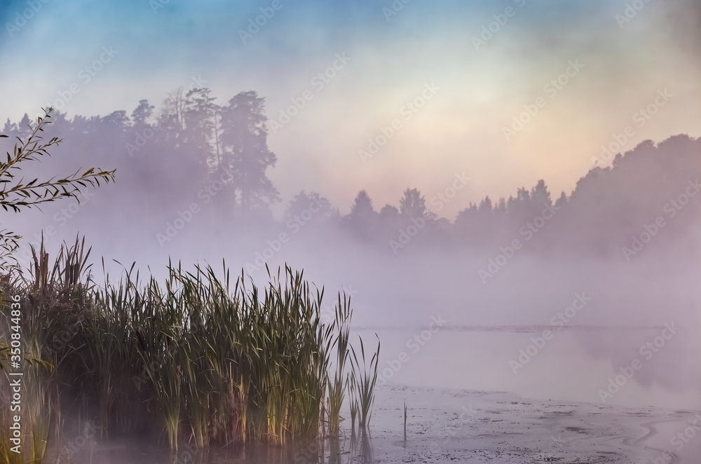 Fototapeta premium Mist over the lake dawn early morning in the summer