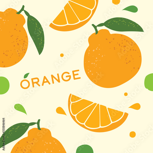 Jeju Island Orange Hallabong on a white background