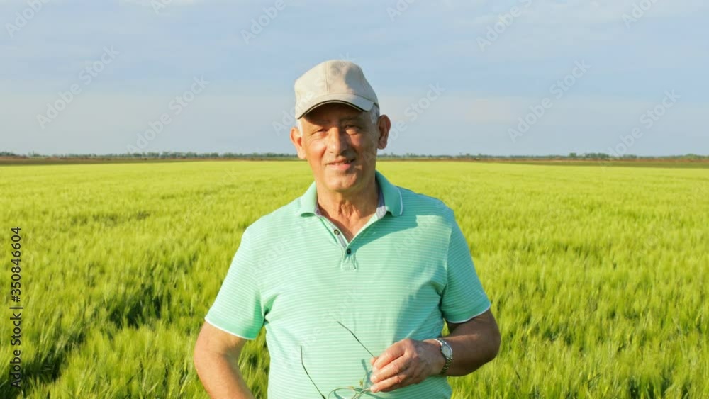 Portrait of smiling senior farmer standing in in wheat field. Portrait of smiling senior farmer standing in in wheat field.