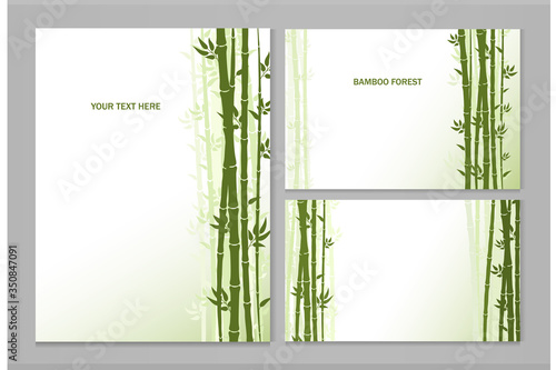 Set of vector greeting cards with bamboo and place for text.