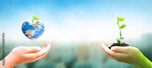 World Environment Day concept: hand holding tree planting and earth on green nature background, this image furnished by NASA