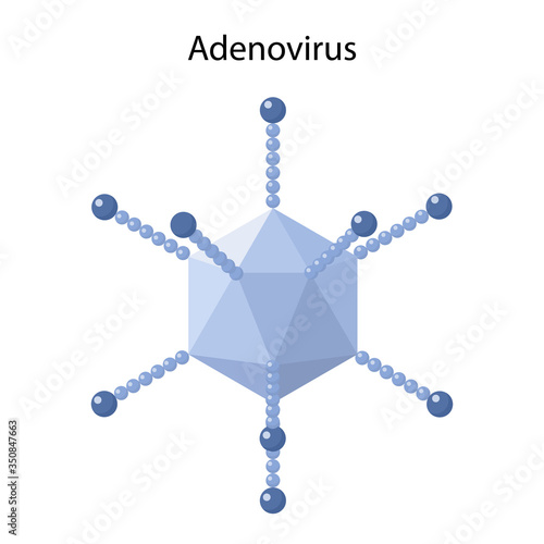 The adenovirus. Microbiology. Virology. Medical vector illustration in flat style isolated on white background.