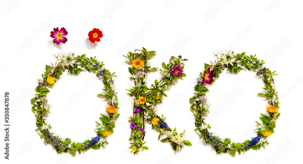 Flower, Branches And Blossom Letter Building German Word Oeko Means Eco. White Isolated Background Flower, Branches And Blossom Letter Building German Word Oeko Means Eco. White Isolated Background
