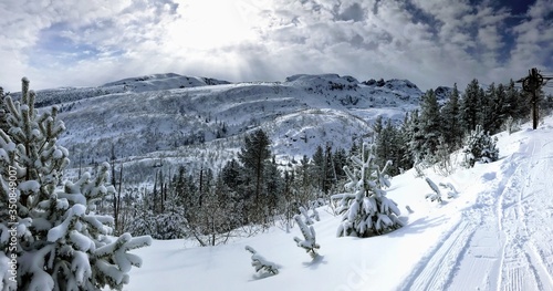 Winter in Rila Mountain in Bulgaria near to ski zone.