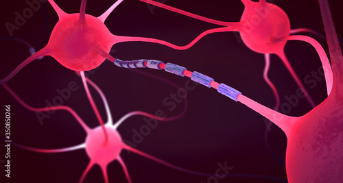 Connected nerve cells or neurons - 3d illustration