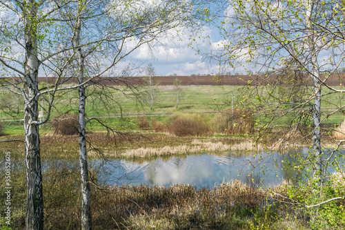Spring scenic landscape with views of the slopes and mountains with reflection in the water and birches in the village of Bobravka, Kharkiv oblast