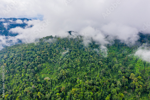 Aerial view of mist and clouds rising from a beautiful tropical rainforest following a large rain storm. © whitcomberd
