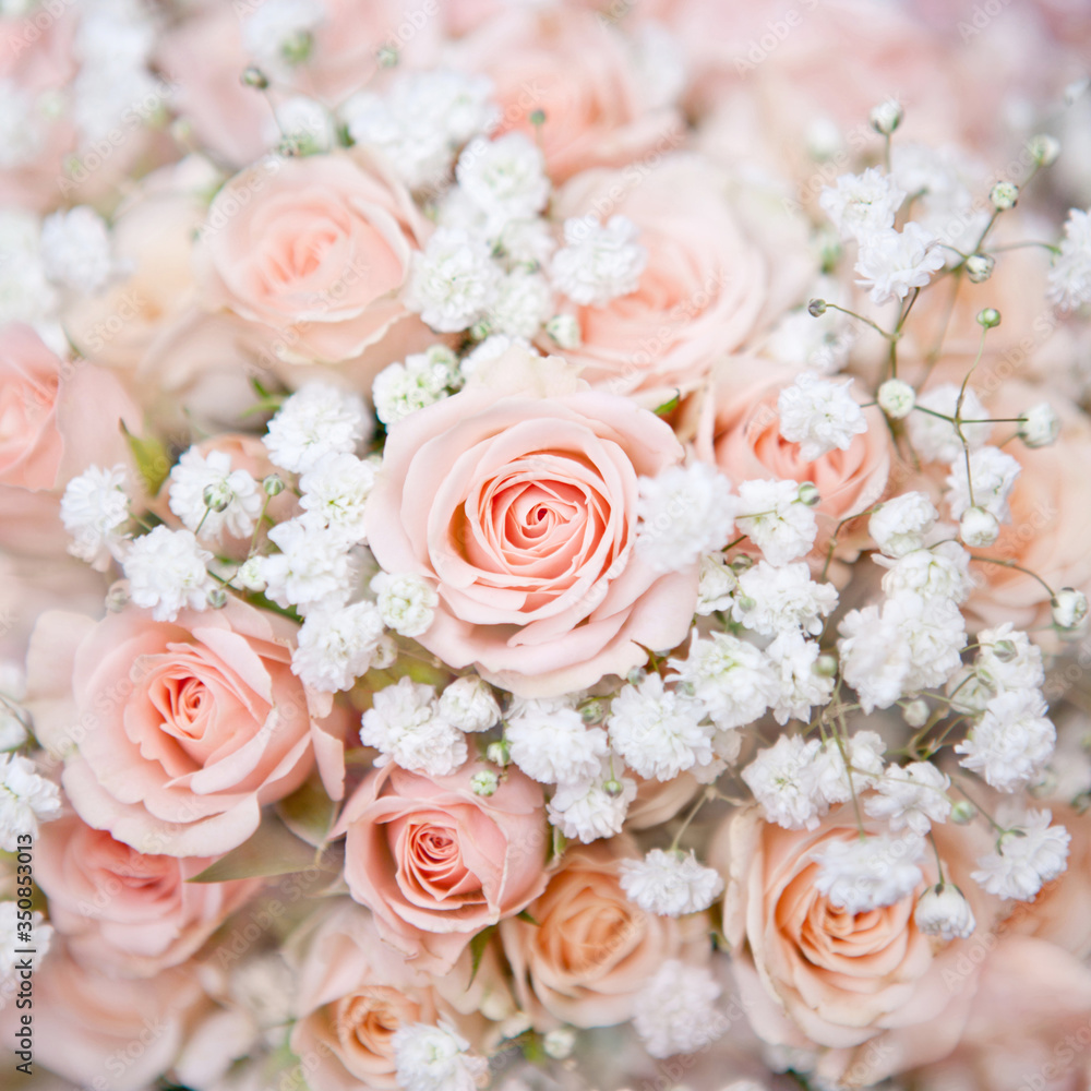 soft pink wedding bouquet with rose bush and little white flowers soft pink wedding bouquet with rose bush and little white flowers