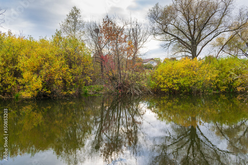 Fototapeta Naklejka Na Ścianę i Meble -  Beautiful spring landscape near the river in the park with reflection