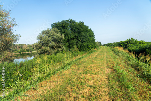 Summer landscape along the cycle path of the Po river  italy
