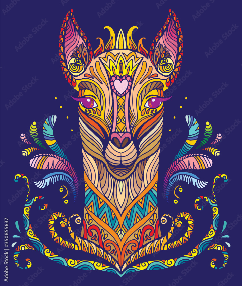 Obraz premium Vector colorful lama