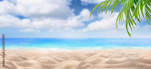 Fototapeta Naklejka Na Ścianę i Meble -  A summer vacation, holiday background of a tropical beach and blue sea and white fluffy clouds and green leaves of a palm tree.