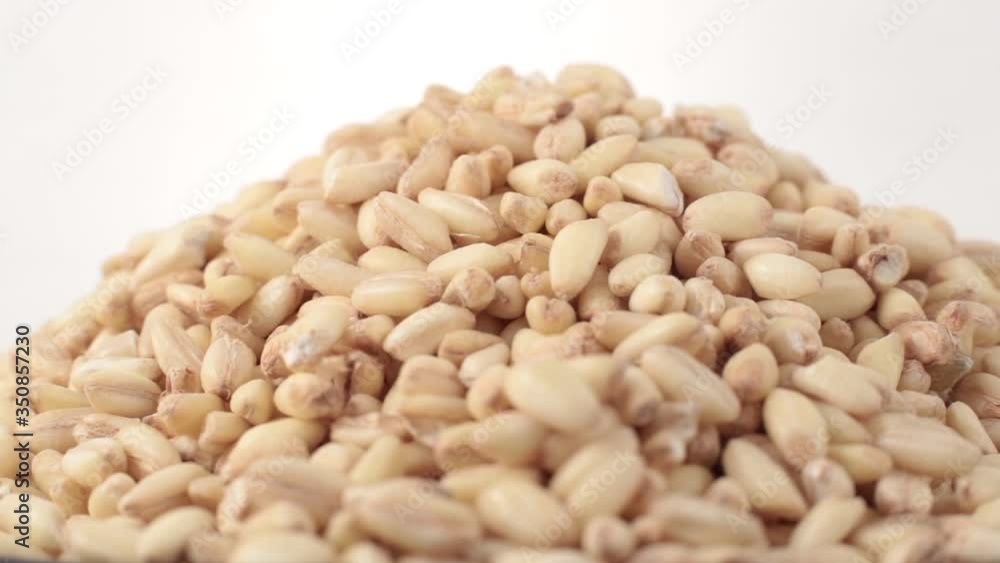 Wheat grains of spin around themselves on white background Wheat grains of spin around themselves on white background