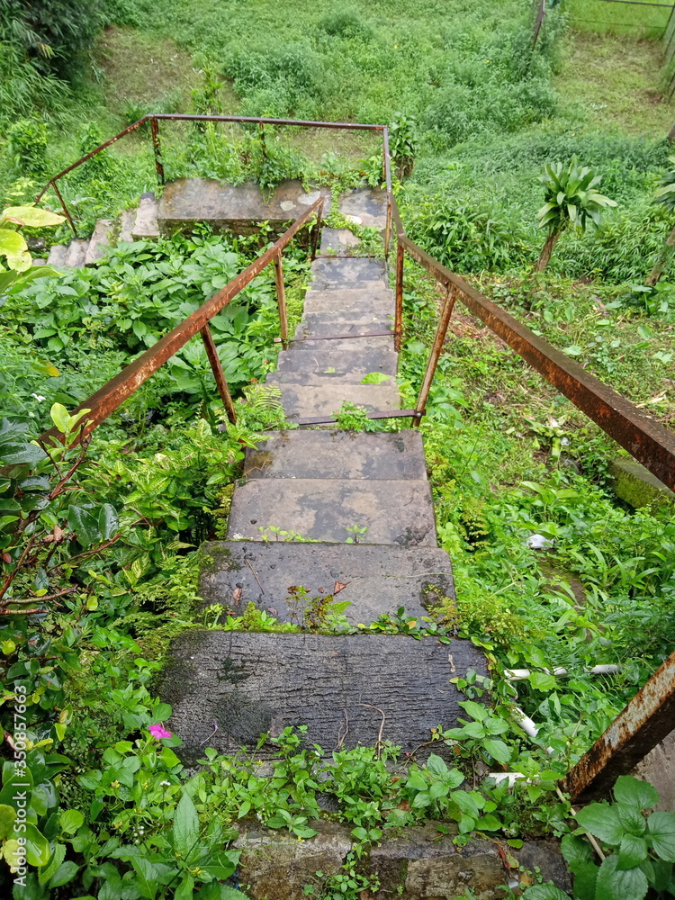 Fototapeta premium wooden bridge in the forest