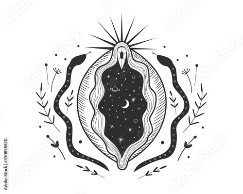 abstract image of a vagina. outer space, planets, moon and stars. snake tempter and plant herbs. printing on fabric and paper. radical femenism. vector