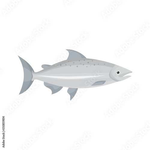 Fish illustration. Salmon, trout, fishing. Food concept. Can be used for topics like fish market, sea food, restaurant menu © PCH.Vector