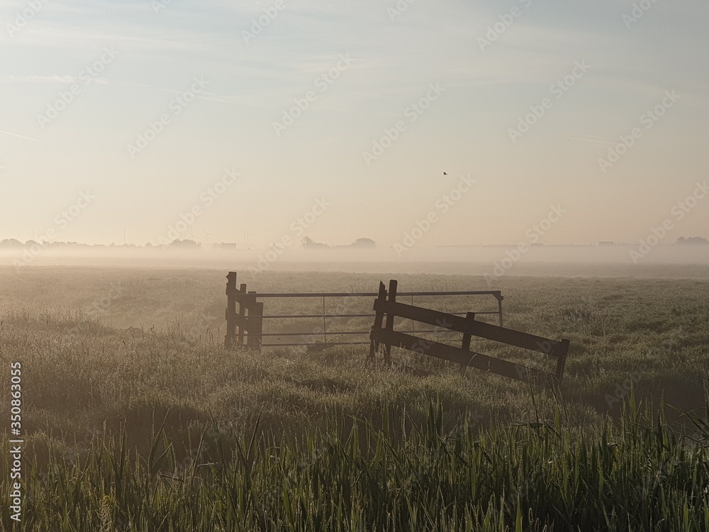 pasture with fence in fog