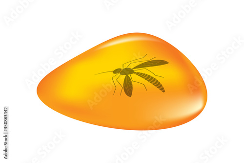 
Insects in a drop of amber isolated on white background. Ancient amber midge inclusion. Piece of amber with a mosquito inside. Stone with a prehistoric insect. Fossilised tree resin. Stock vector