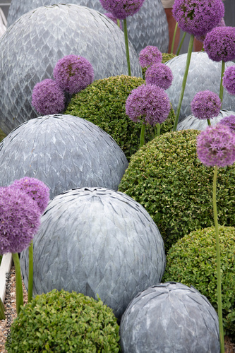 The Petalist sphere sculptures intermingled with spherical box hedges and purple allium