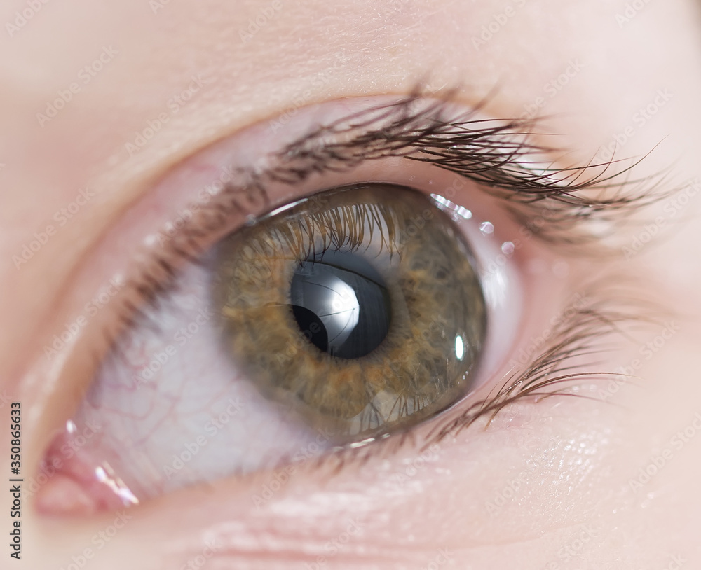 Fototapeta premium Close-up photo of human eye. Macro photography