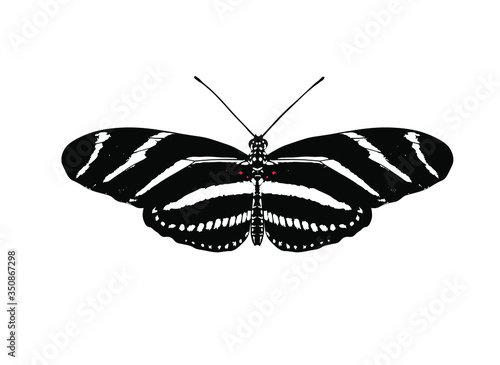 Heliconius charithonia, the zebra longwing or zebra heliconian, is a species of butterfly belonging to the subfamily Heliconiinae of the family Nymphalidae.