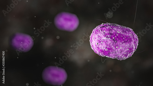 Science Photo of bacteria Haemophilus influenzae is a Gram-negative, coccobacillary, facultatively anaerobic pathogenic bacterium of the family Pasteurellaceae 3d rendering photo