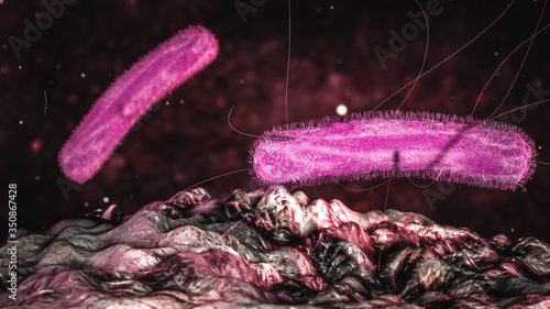 Science Photo of bacteria Klebsiella pneumoniae is a Gram-negative, non-motile, encapsulated, lactose-fermenting, facultative anaerobic, rod-shaped bacterium 3d rendering photo