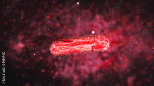 Science Photo of bacteria Proteus mirabilis is a Gram-negative, facultatively anaerobic, rod-shaped bacterium 3d rendering photo