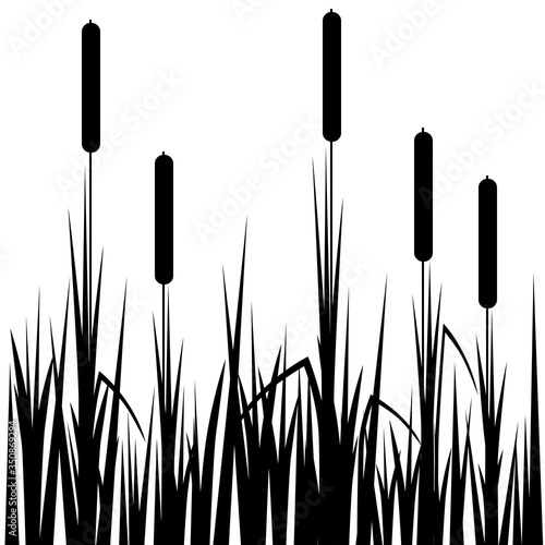 Beautiful reed black