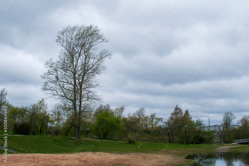 Obraz premium spring in town