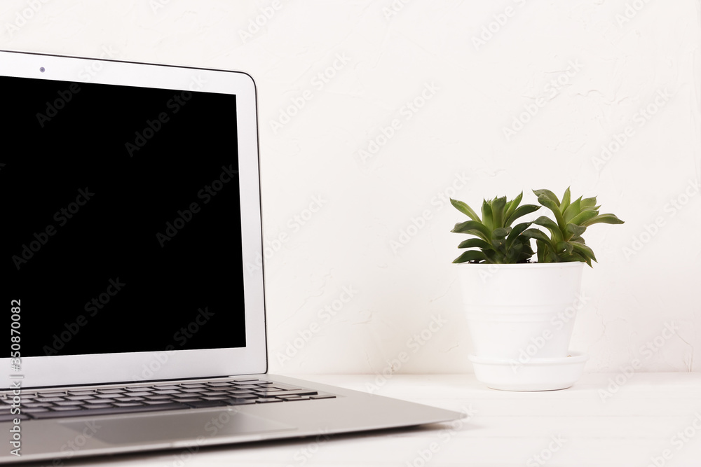 A laptop with the black screen on a white table with a succulent on a background of white wall A laptop with the black screen on a white table with a succulent on a background of white wall