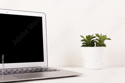 A laptop with the black screen on a white table with a succulent on a background of white wall