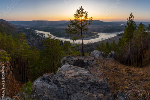 Lonely pine on the edge of a cliff