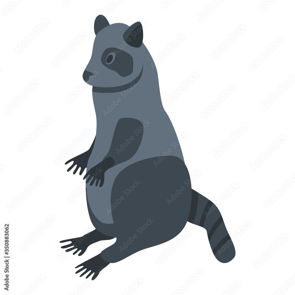 Cute raccoon icon. Isometric of cute raccoon vector icon for web design isolated on white background Cute raccoon icon. Isometric of cute raccoon vector icon for web design isolated on white background