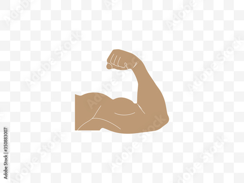 Biceps, muscle icon. Vector illustration, flat design.