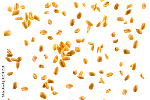 Falling peanuts on white background photo