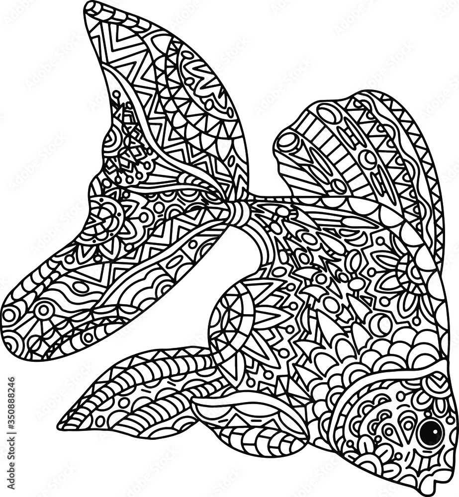 Fototapeta premium Vector illustration of a gold fish. Antistress coloring page, black outline.