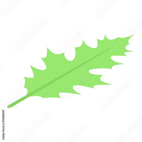 Leaf oak icon. Isometric of leaf oak vector icon for web design isolated on white background