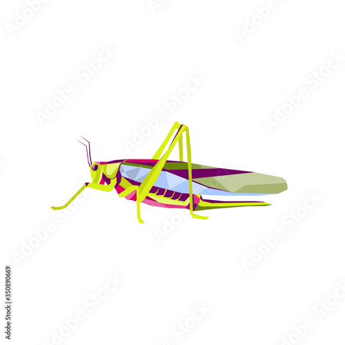 WPAP. abstract style of pop art shaped grasshopper color