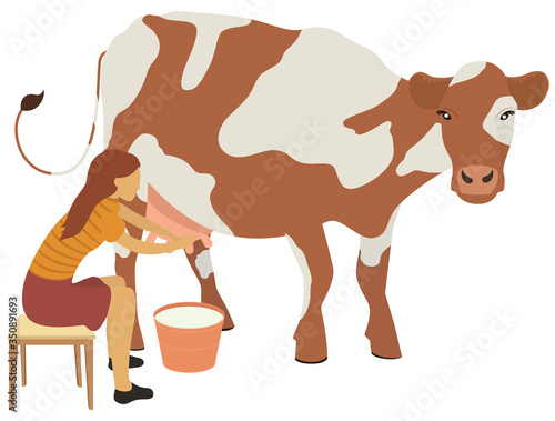 Woman milks a cow vector illustration
