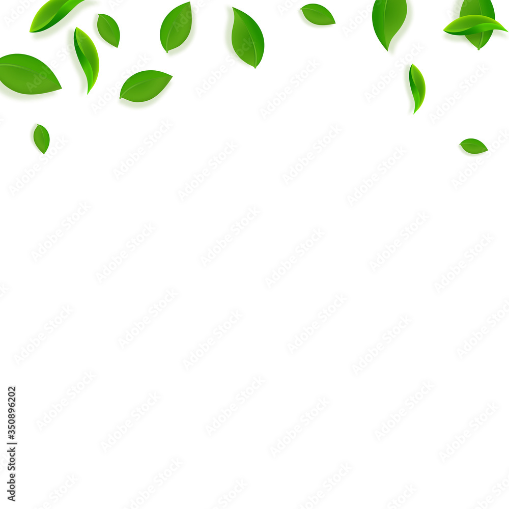 Falling green leaves. Fresh tea chaotic leaves fly Falling green leaves. Fresh tea chaotic leaves fly